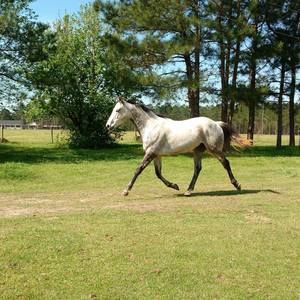 Meet your Posher, Becky